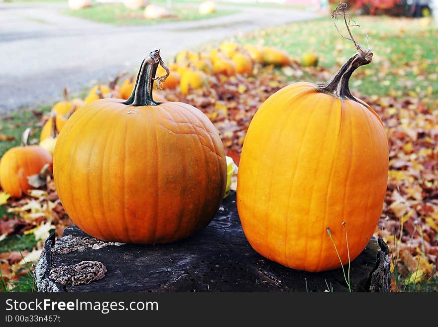 Two bright orange pumpkins on a tree stump