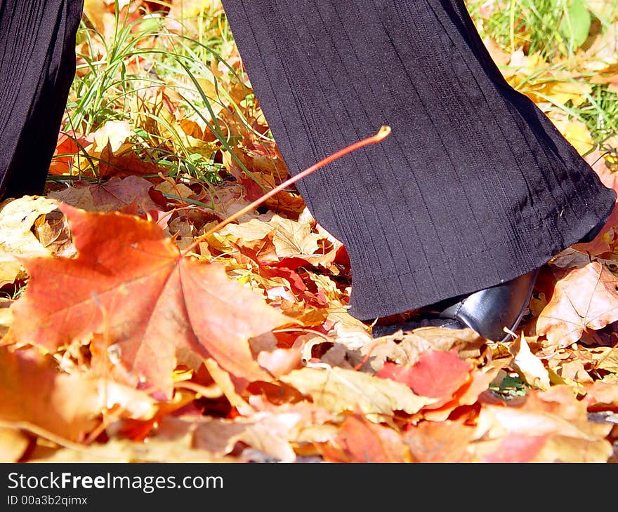 Leg in the autumn background