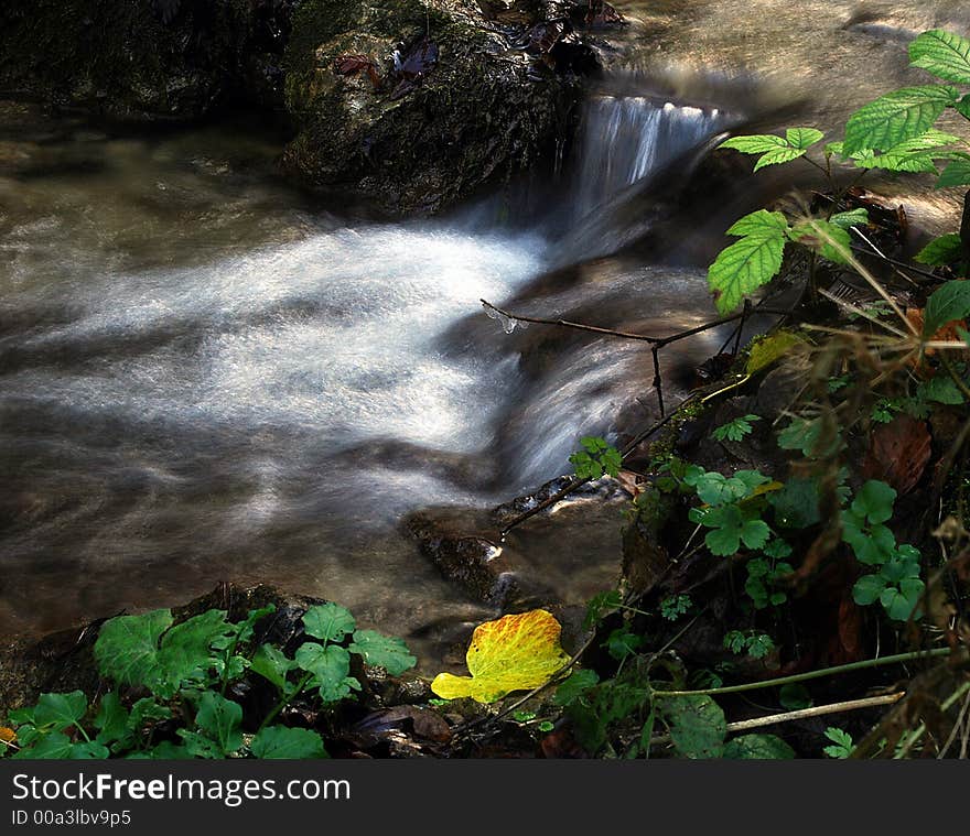 Small forest waterfall and great yellow leaf