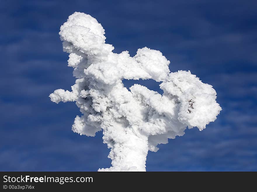 Winter Branches With Snow Against Blue Sky 7