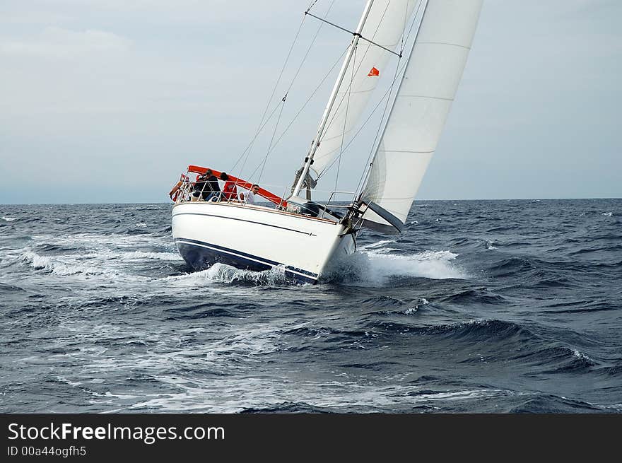 Team on a sailing cruise. Team on a sailing cruise