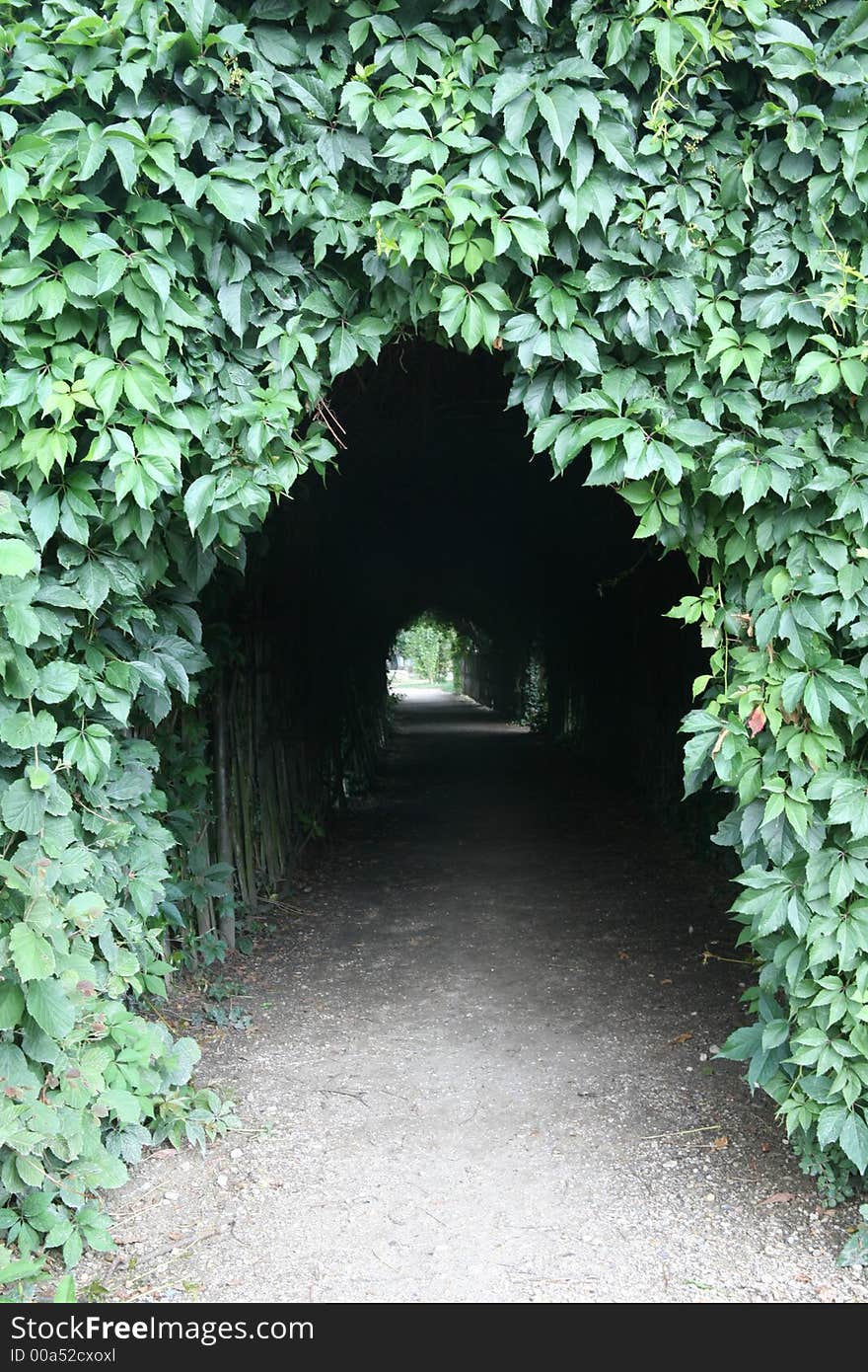 Tunnel made of bushes in the garden at Petit Hameau, Versaille, France.