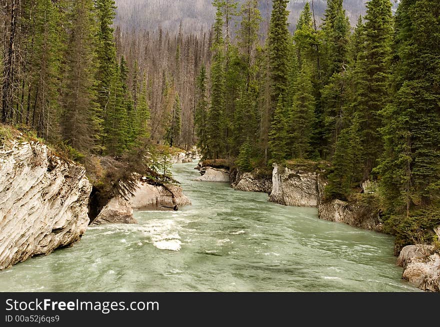 Glacier river in Jasper national park, Canada. Glacier river in Jasper national park, Canada