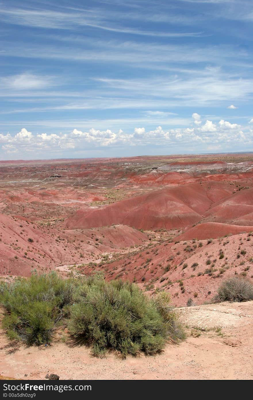 Painted desert