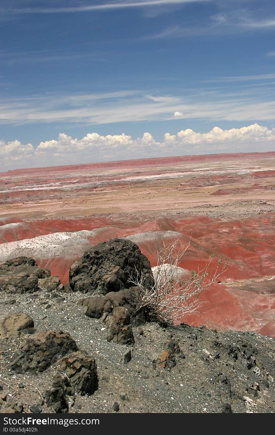 Painted desert