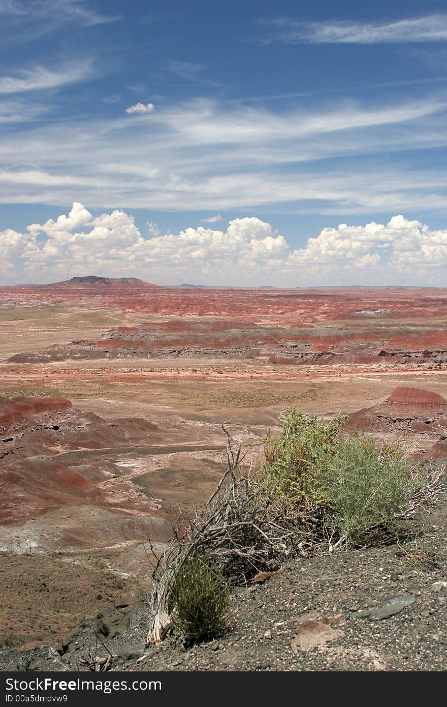 Painted desert