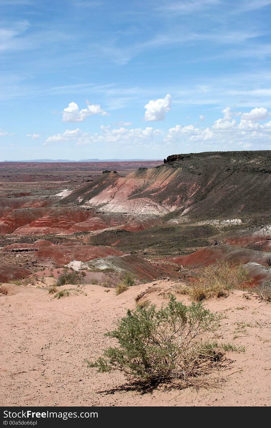 Painted Desert