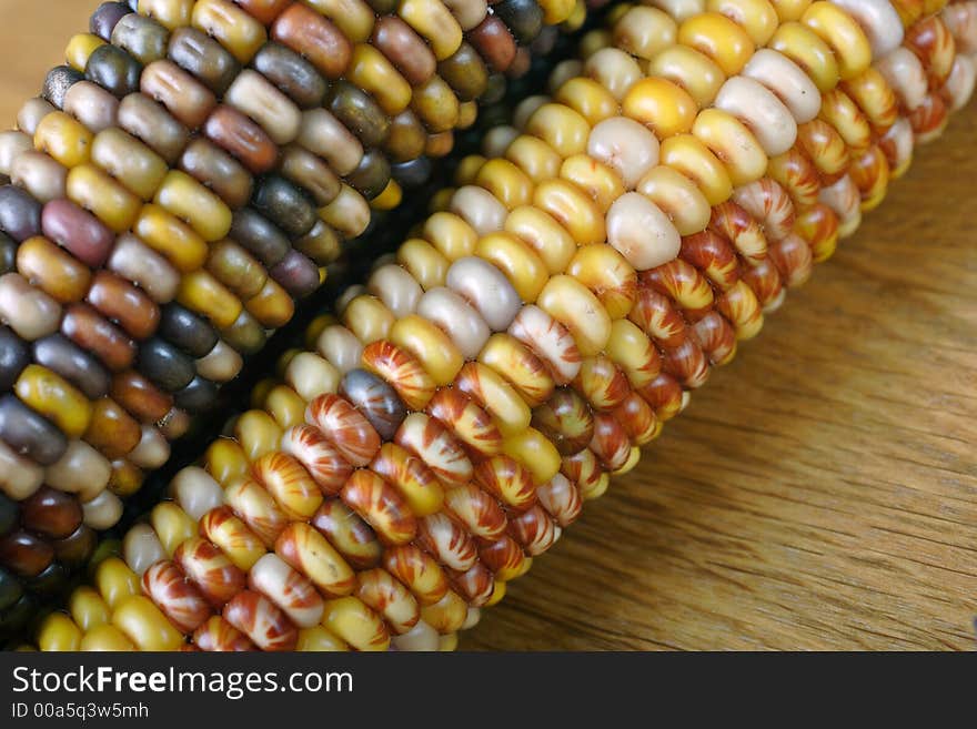 Indian corn, traditional American decoration