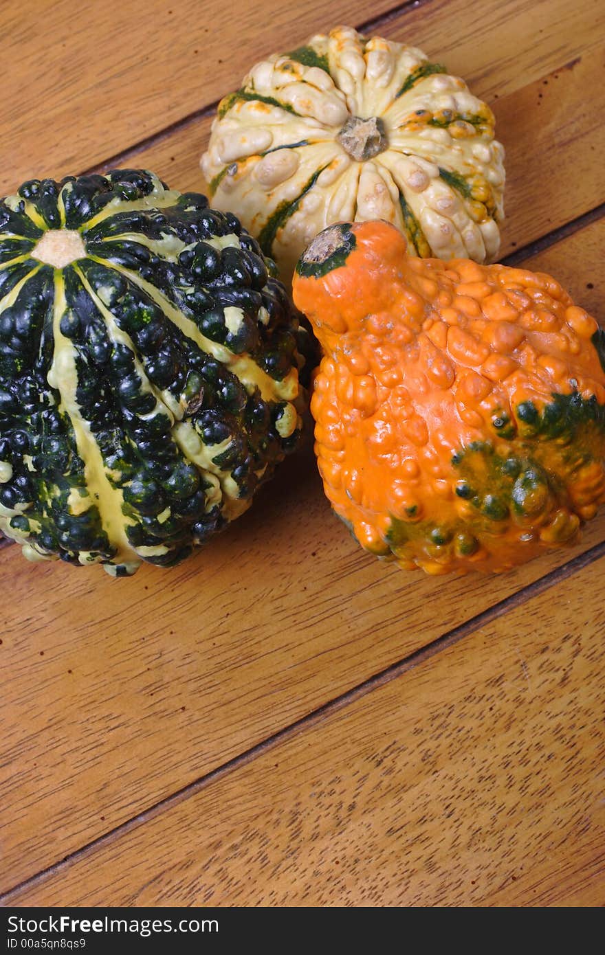 Various gourds, traditional American decoration