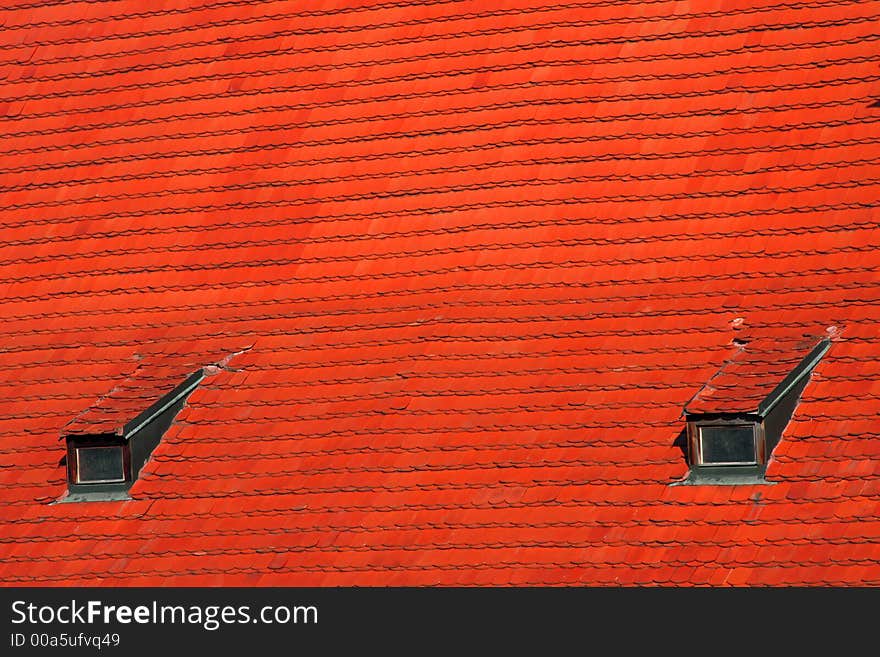 Old histrorical roof