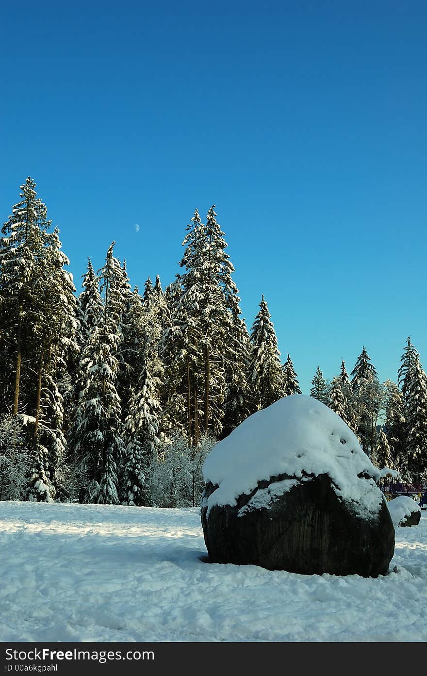 Snow field in north vancouver, british columbia