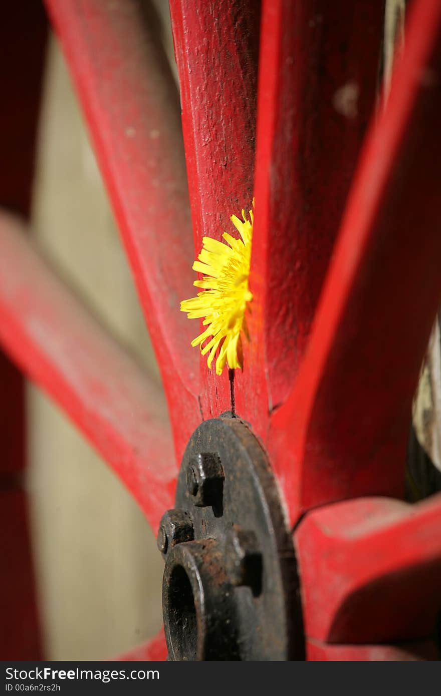 Red wheel