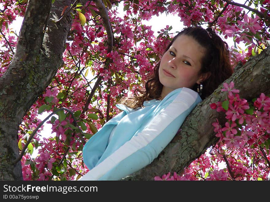 Girl hiding from the world in a tree of blossoms. Girl hiding from the world in a tree of blossoms