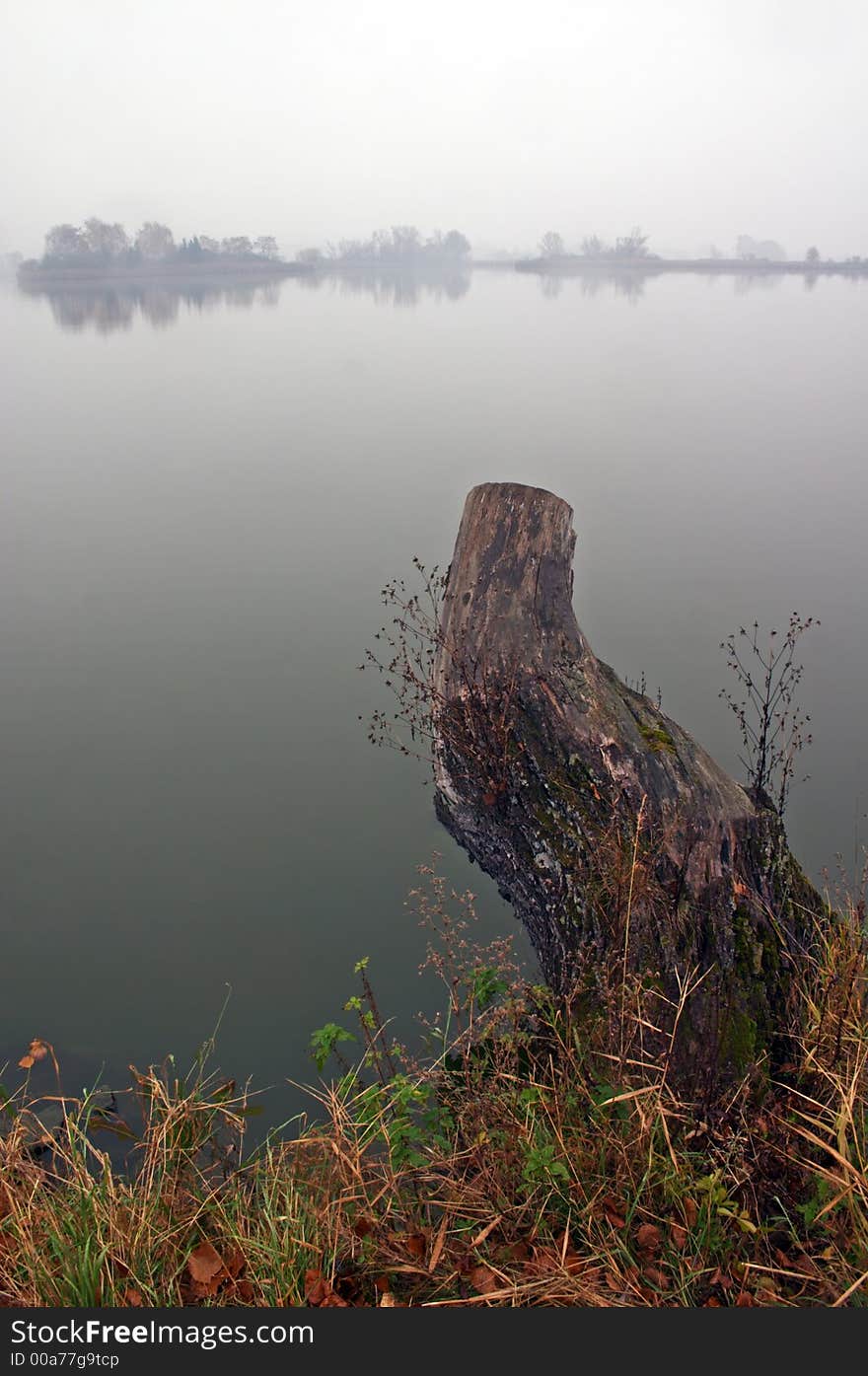 Fog on pond with remains of a tree in front of picture. Fog on pond with remains of a tree in front of picture