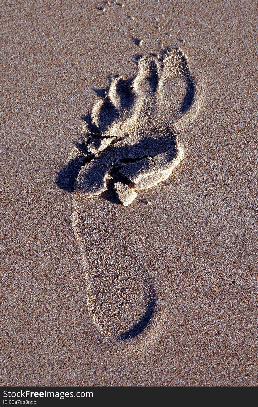 Footprint