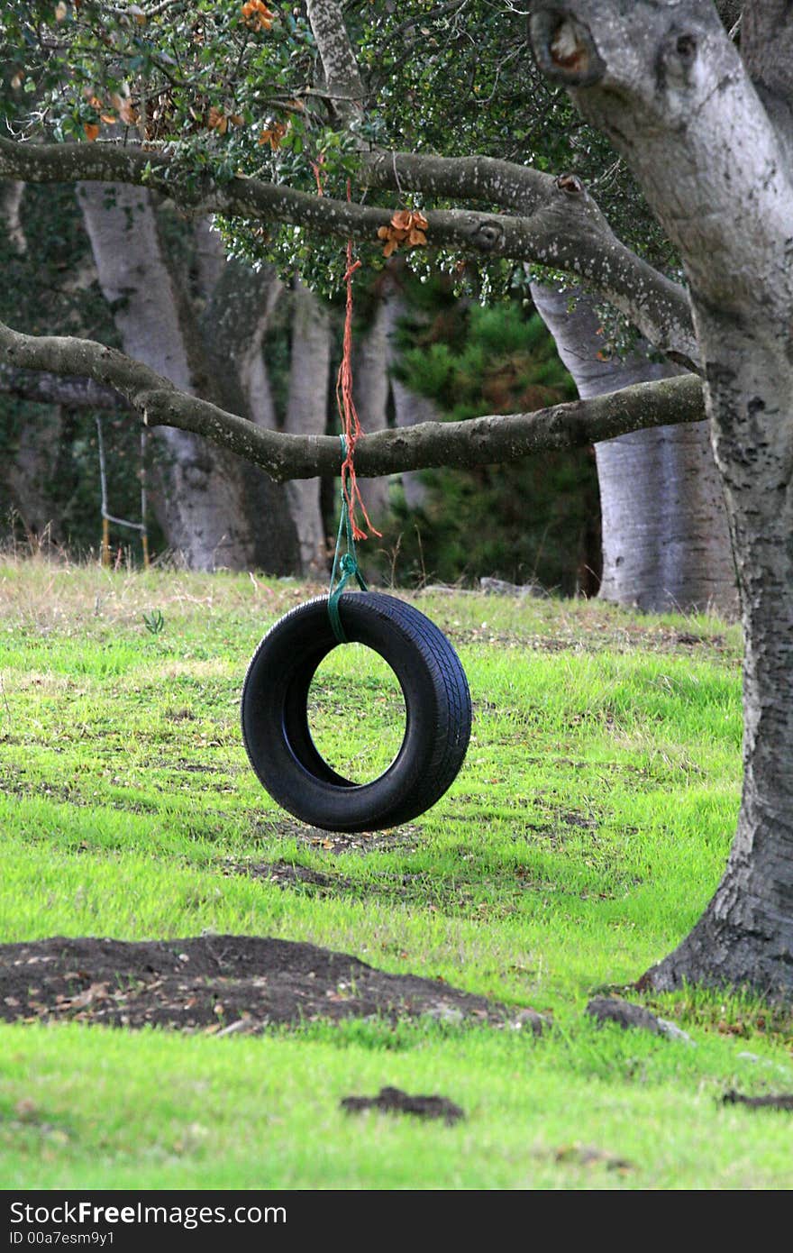 Child's tire swing hanging from trees