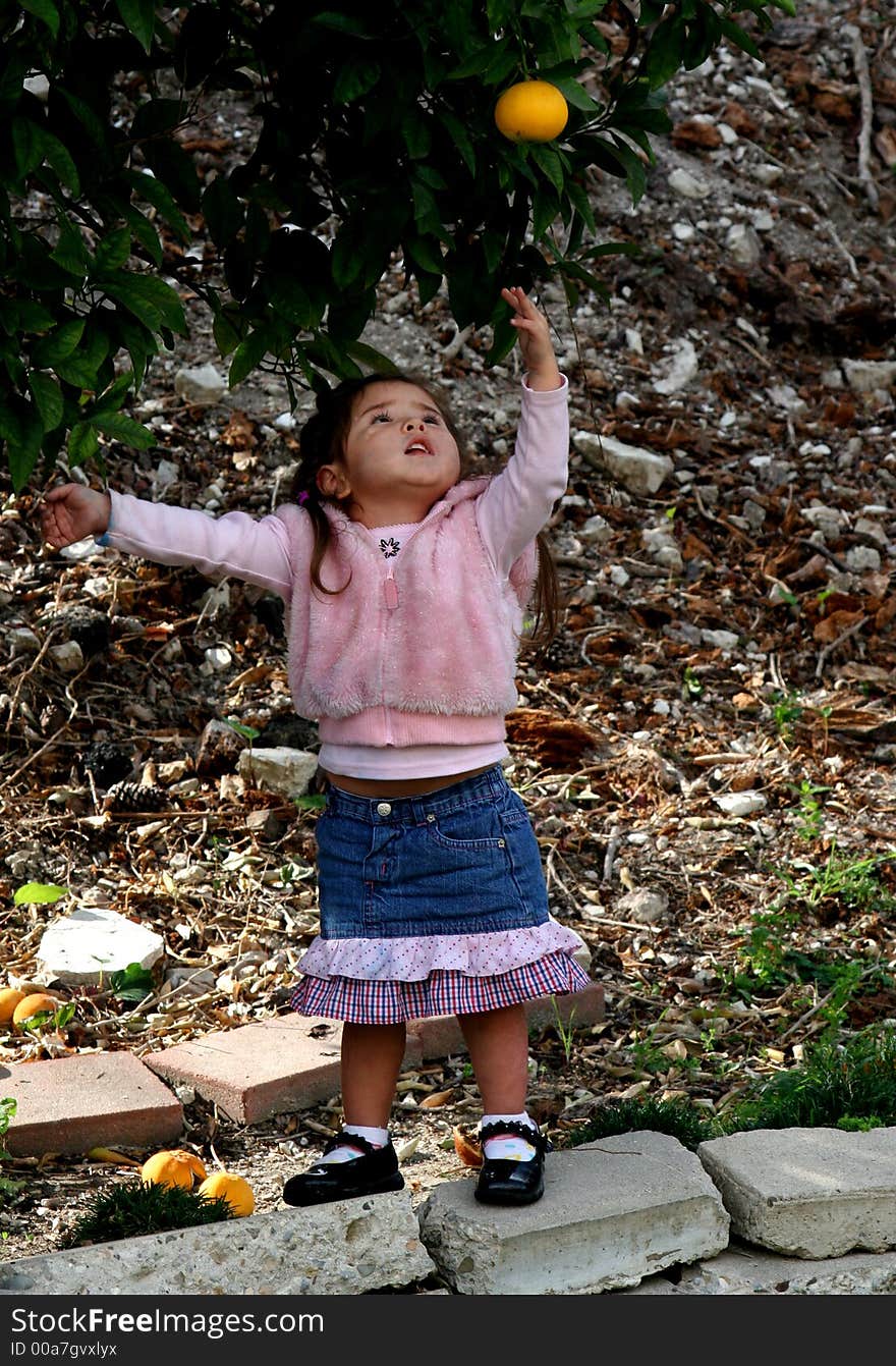 Child reaching for an orange. Child reaching for an orange