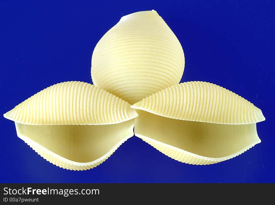 Three large pasta sea shells on a blue backgound. A simple design. Three large pasta sea shells on a blue backgound. A simple design