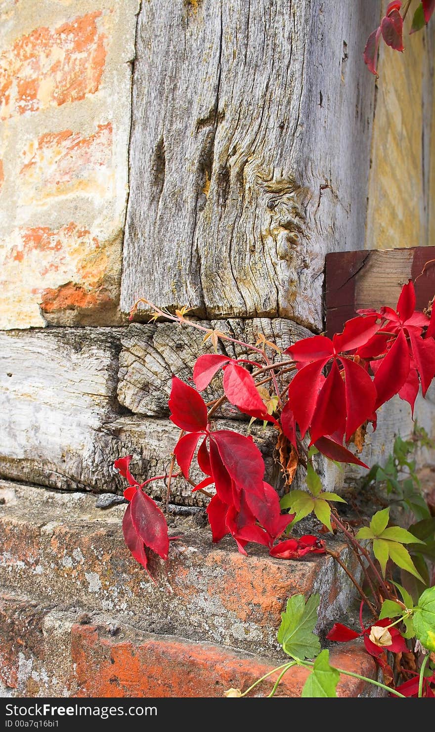 Old wall on traditional Danish house (Autumn). Useful as background.