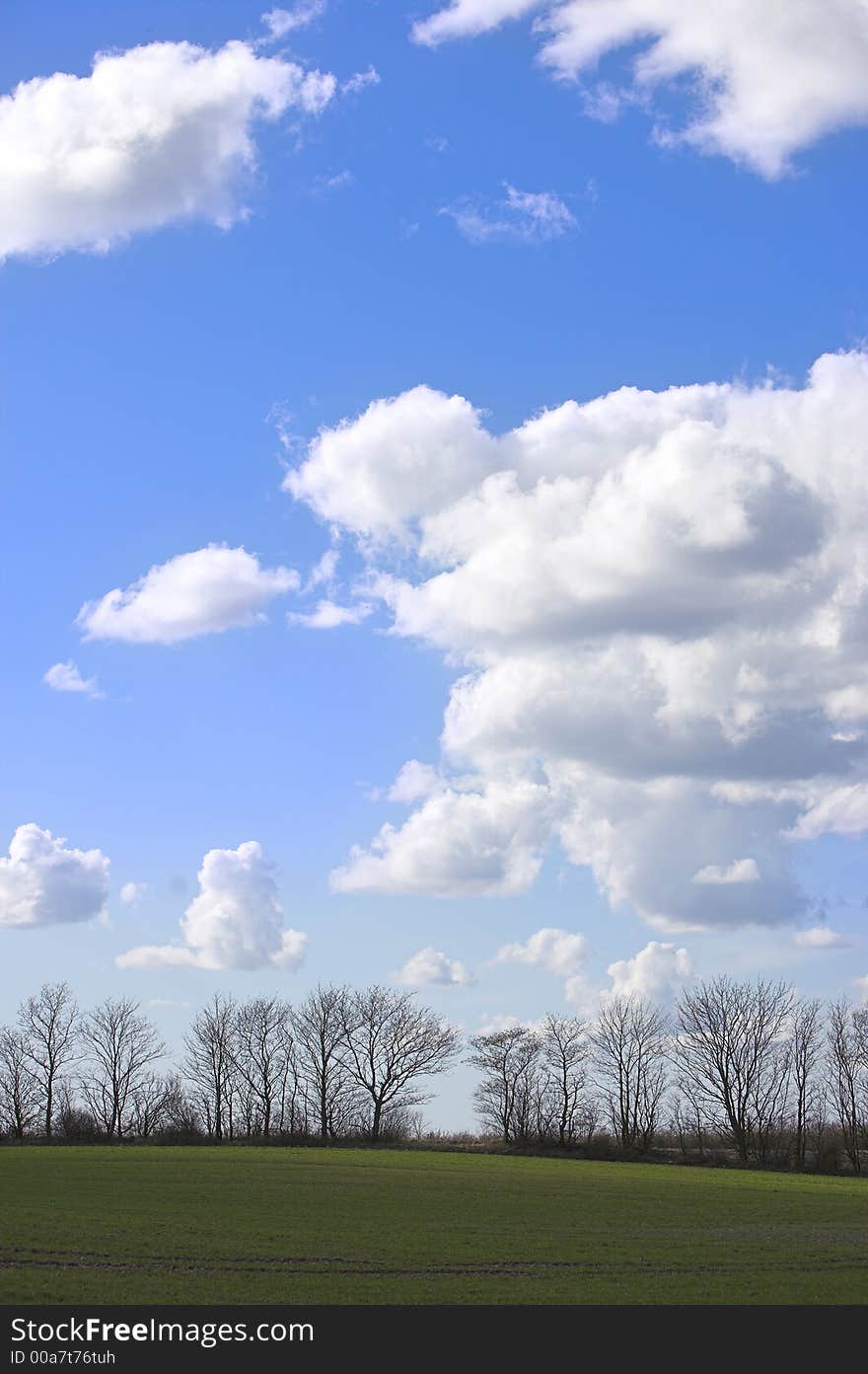 Trees and sky at the country side. Lots of room for text. Trees and sky at the country side. Lots of room for text.