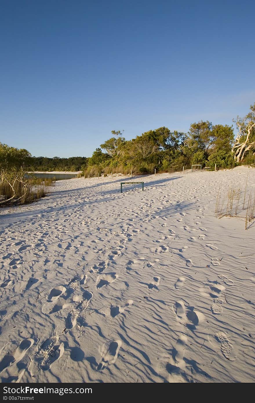 Foot prints in the sand at lake mckenzie australia. Foot prints in the sand at lake mckenzie australia