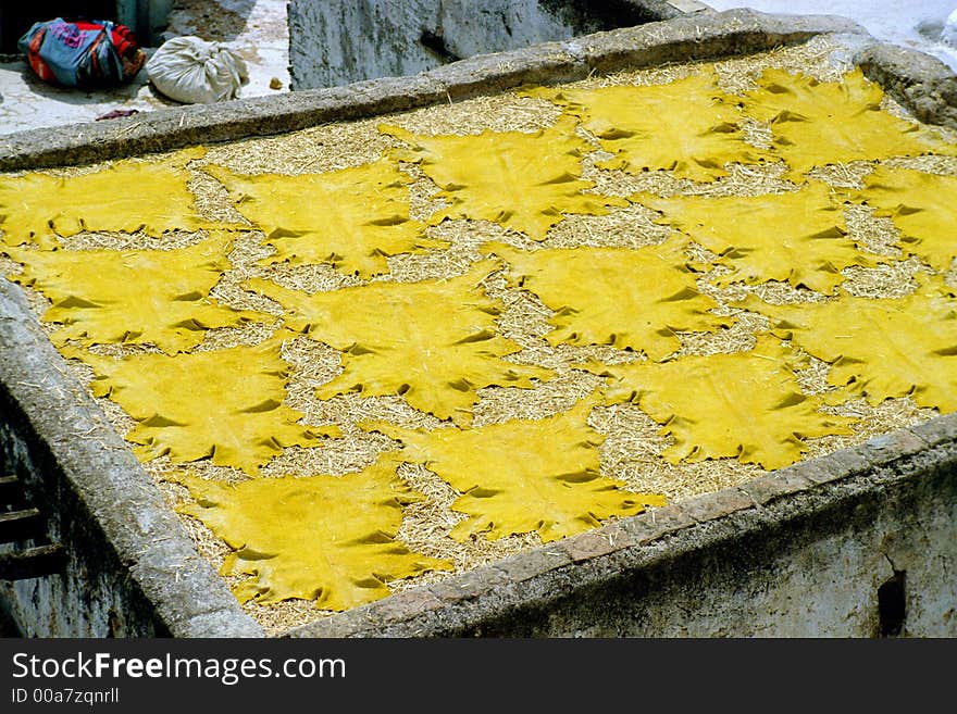 Hides dyed in saffron, laid for drying in tanneries, Fes, Morocco.