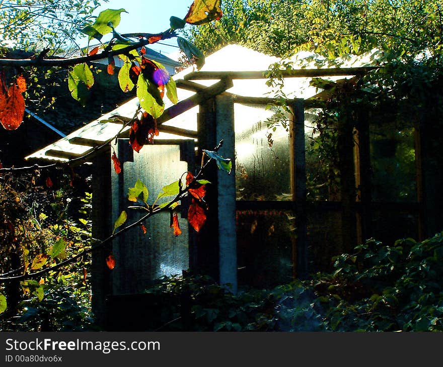 Greenhouse on a Sunny Day