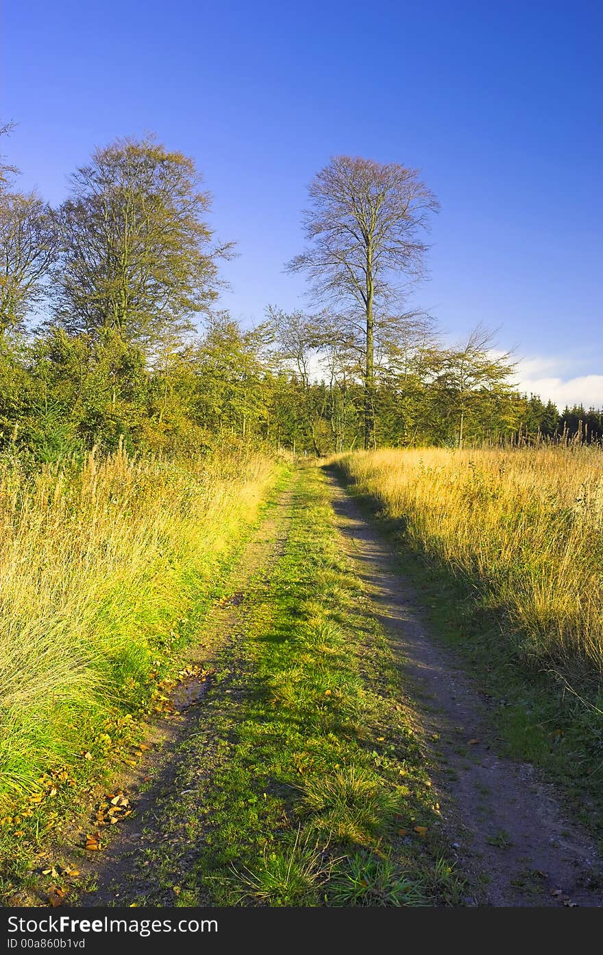 A photo of a dirt road - early autumn peace