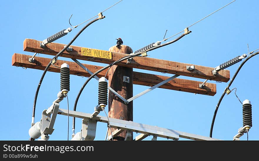 Electric utility pole in California