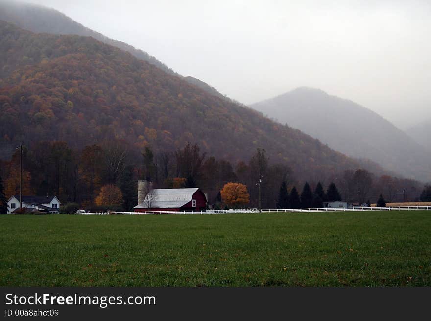 Mountain mist