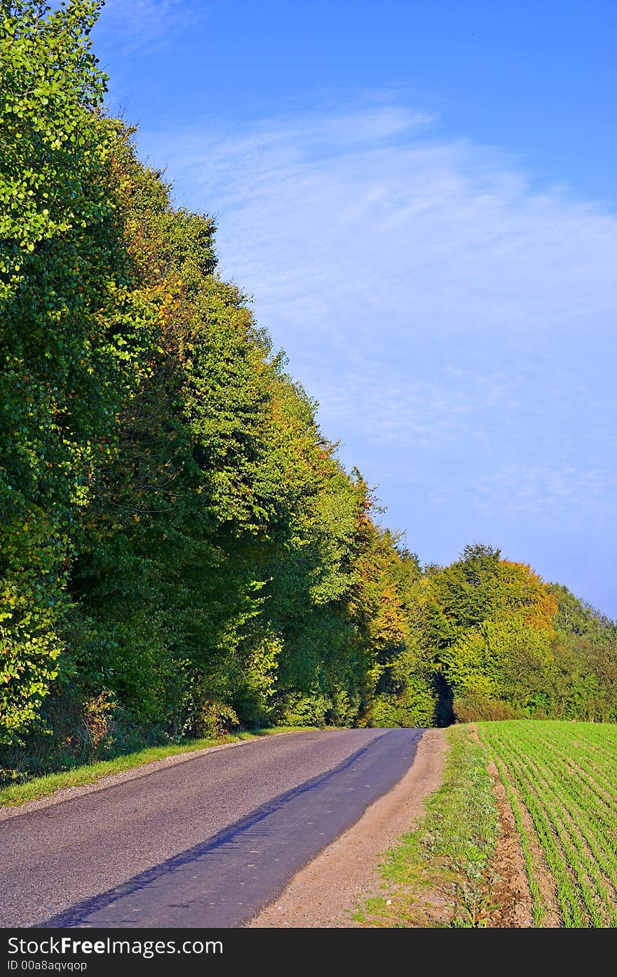 A photo of a farmland in Europe