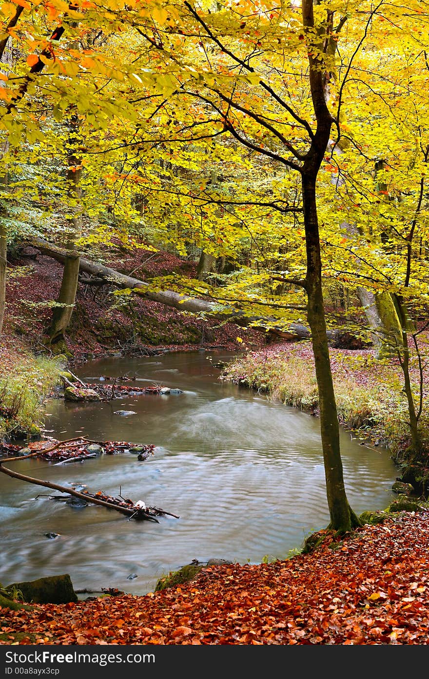 Autumn forest with blue river