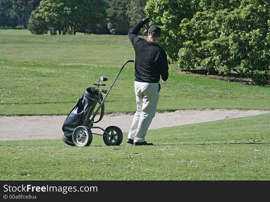 Golfer selecting his club  to play. Golfer selecting his club  to play