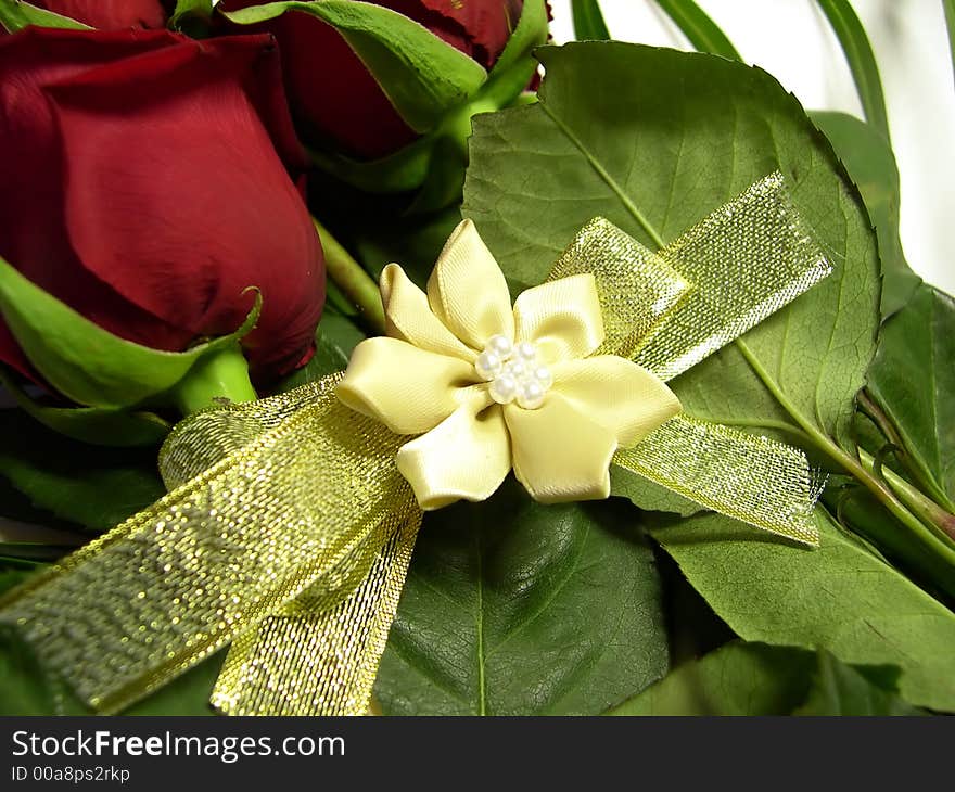 Beautiful red rose on white background