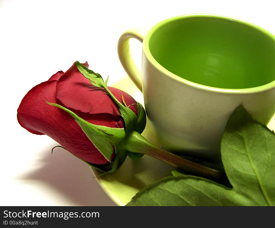 Beautiful red rose on white background