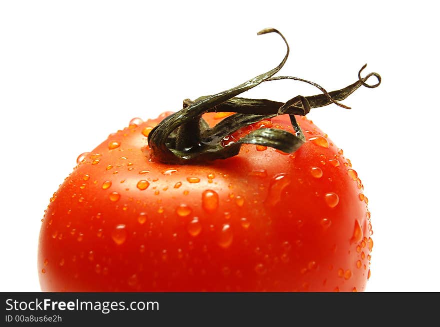 Fresh wet tomato isolated on white background. Shallow depth of field. Fresh wet tomato isolated on white background. Shallow depth of field