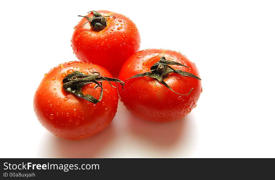 Fresh  Tomatoes