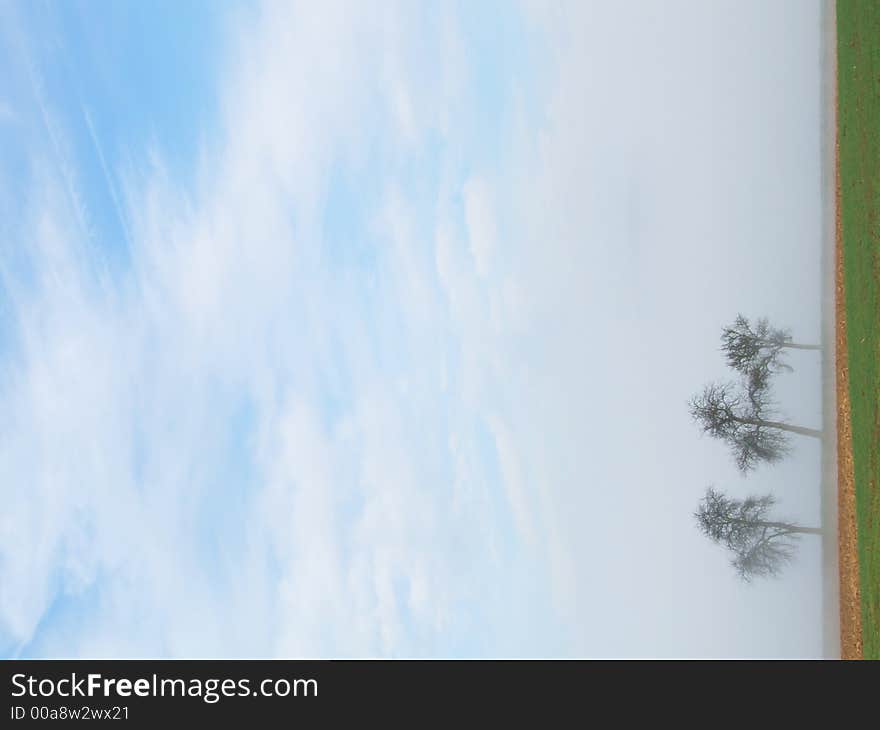 Three trees on a misty morning in France. Three trees on a misty morning in France