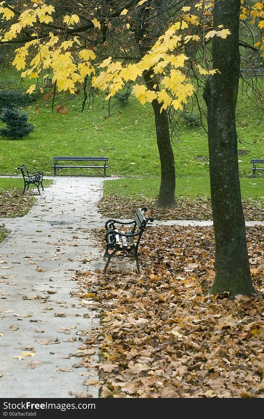 Autumn athosphere in the public park. Autumn athosphere in the public park