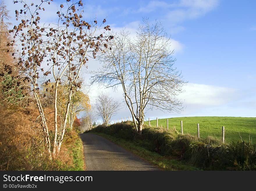 Country Lane