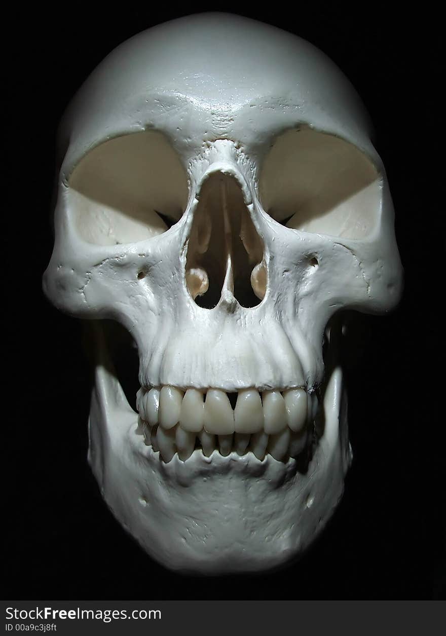 The skull is in shade. The skull is in shade