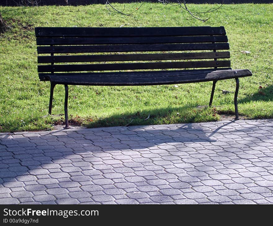 Alone and empty wooden bench in the park