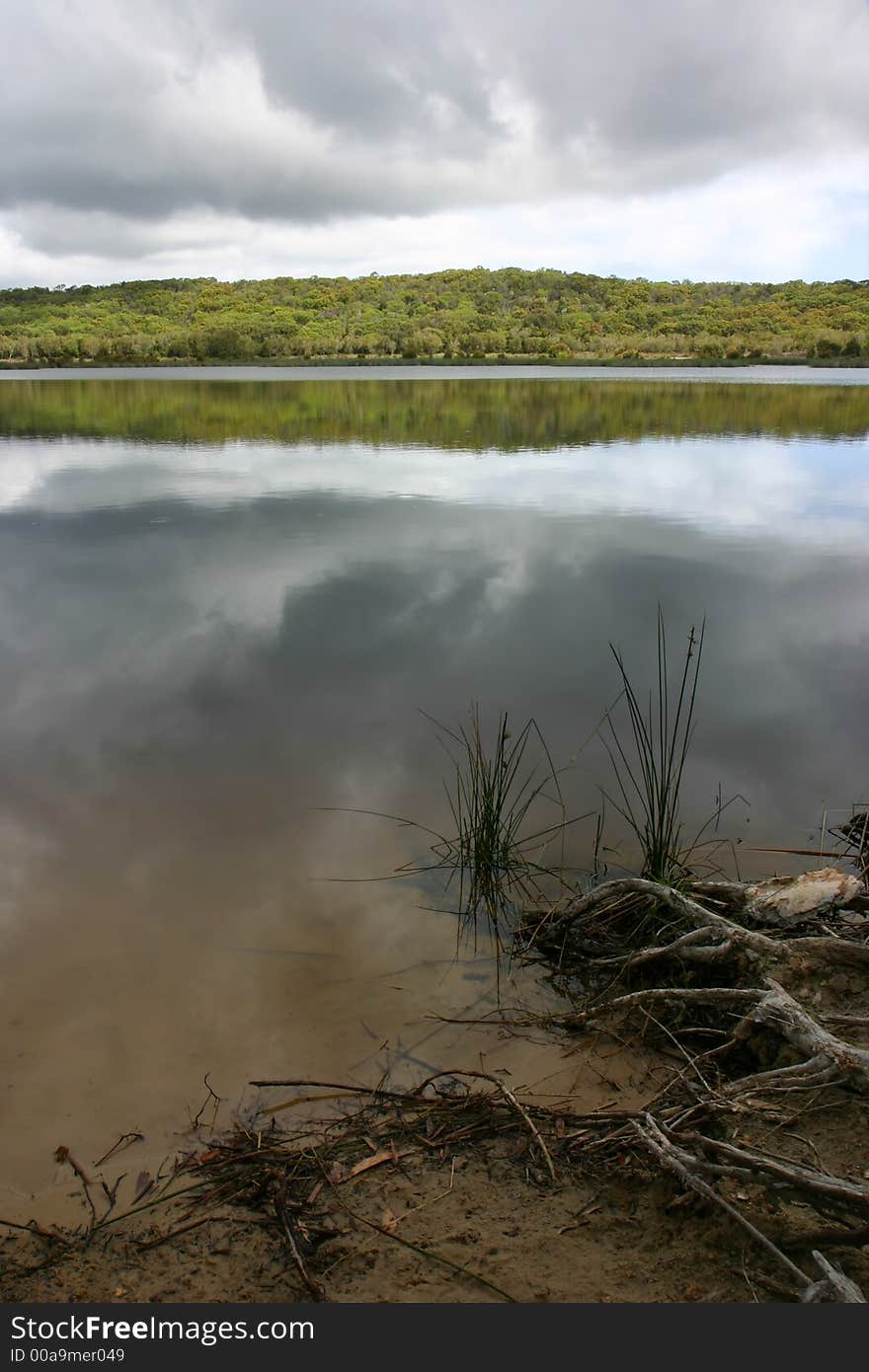 View of a like with wet roots in the forground and hill reflecting in the water in the background. View of a like with wet roots in the forground and hill reflecting in the water in the background