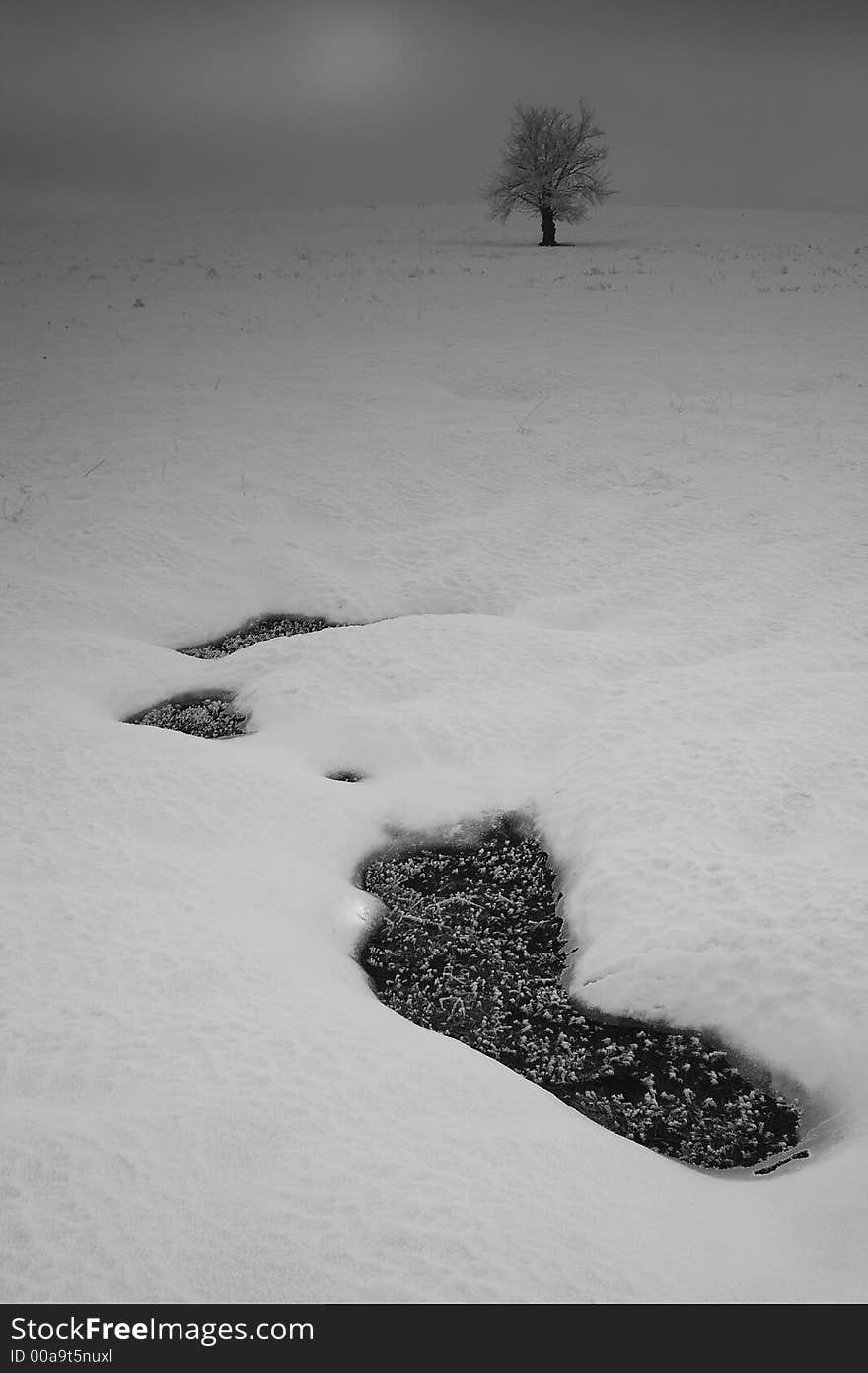 Hole in a snow with tree in background-blac and white