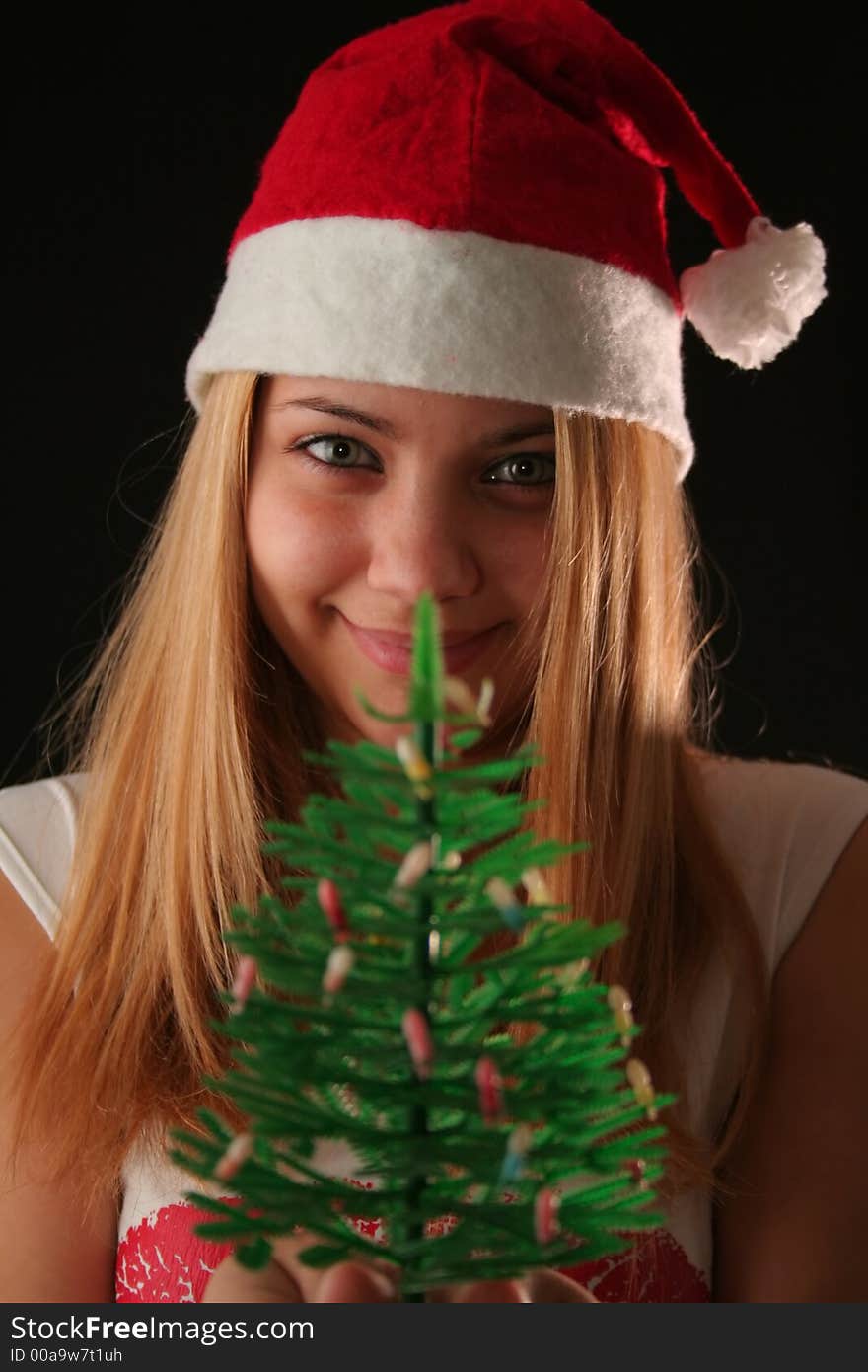 Christmas blonde girl offer a little Christmas-tree, black background. Christmas blonde girl offer a little Christmas-tree, black background