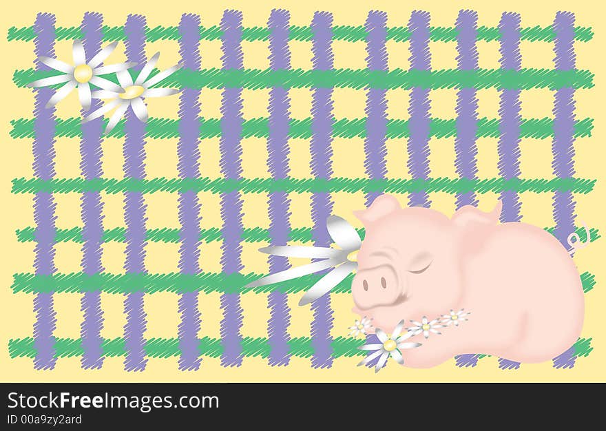 Sleeping Pig on Plaid