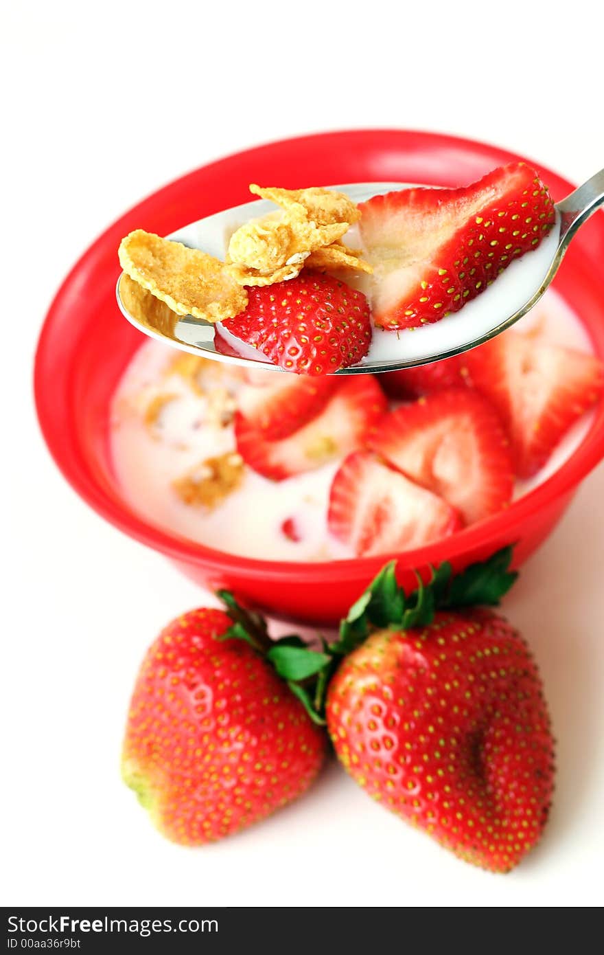 Strawberries cereal and milk, narrow focus - isolated on white. Strawberries cereal and milk, narrow focus - isolated on white