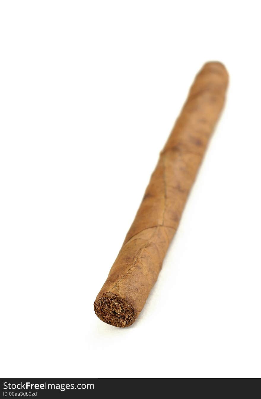 Cigar isolated on white - narrow focus