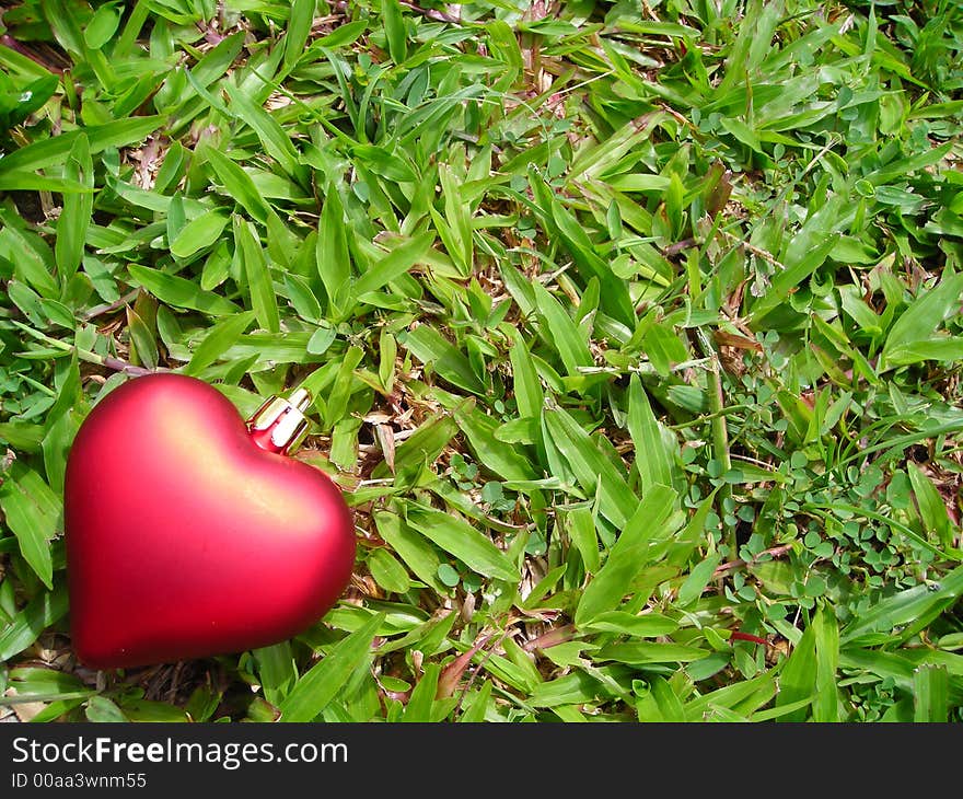 Single Red Heart Against Grass Background