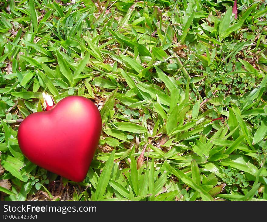 Single Red Heart Against Grass Background